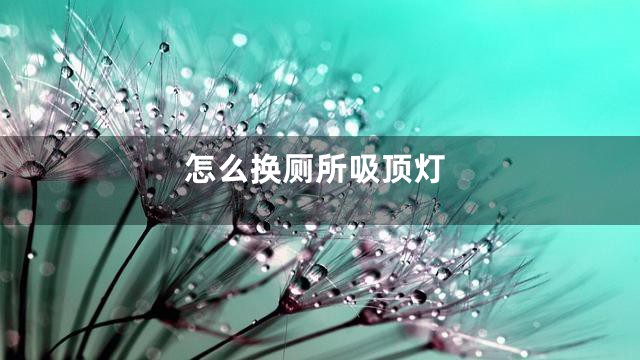 怎么换厕所吸顶灯