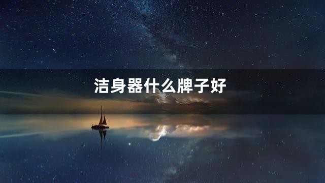 洁身器什么牌子好