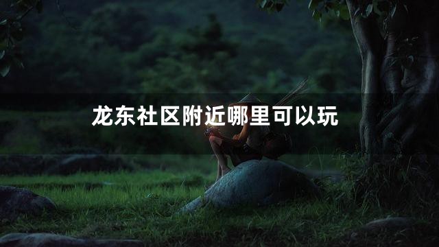 龙东社区附近哪里可以玩