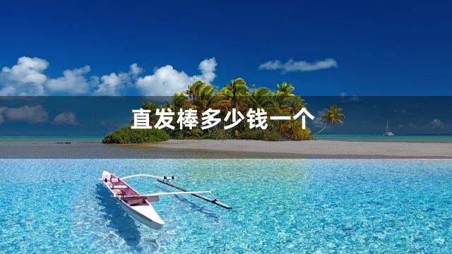 直发棒多少钱一个