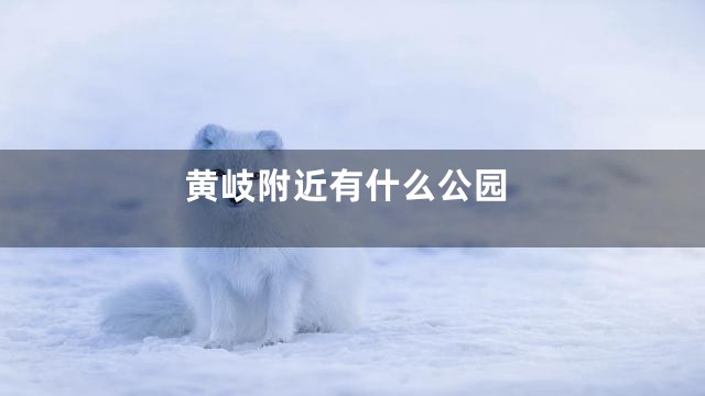 黄岐附近有什么公园