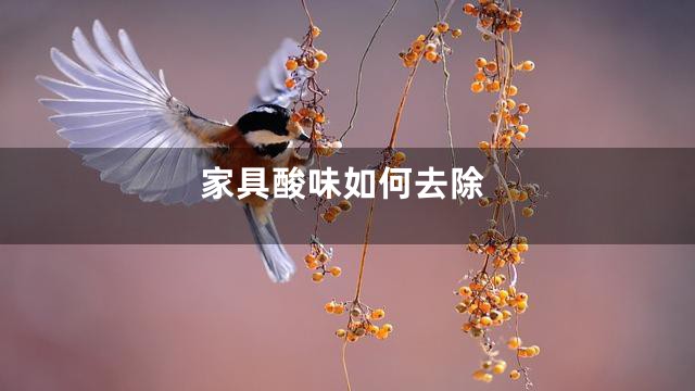 家具酸味如何去除