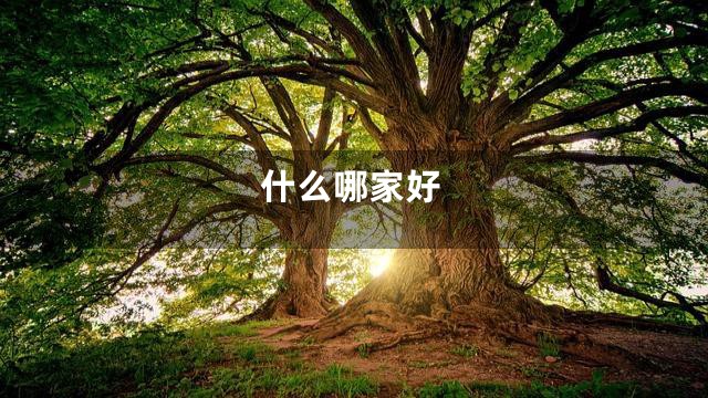 什么哪家好