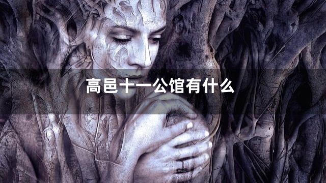 高邑十一公馆有什么