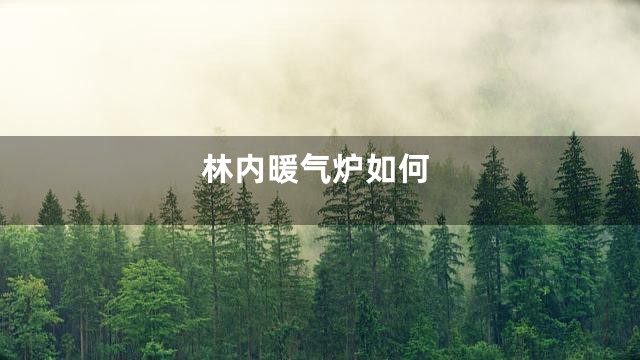 林内暖气炉如何