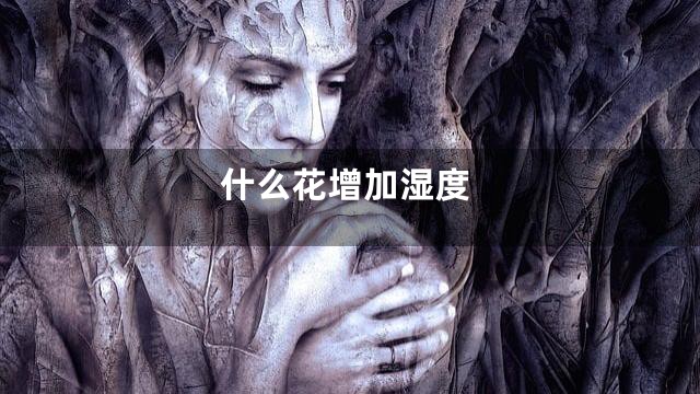 什么花增加湿度