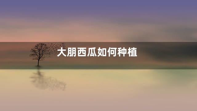 大朋西瓜如何种植