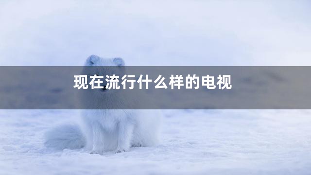 现在流行什么样的电视