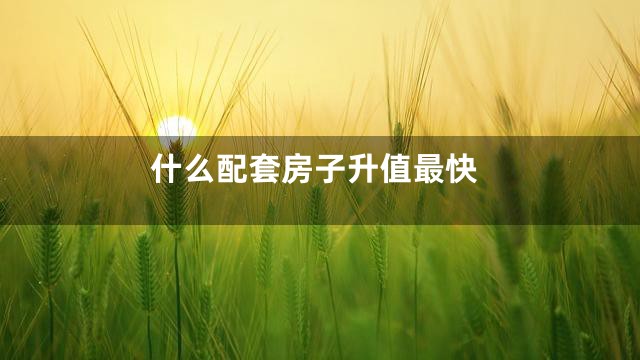 什么配套房子升值最快