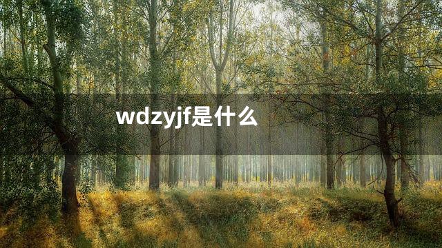 wdzyjf是什么