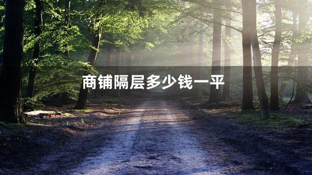 商铺隔层多少钱一平
