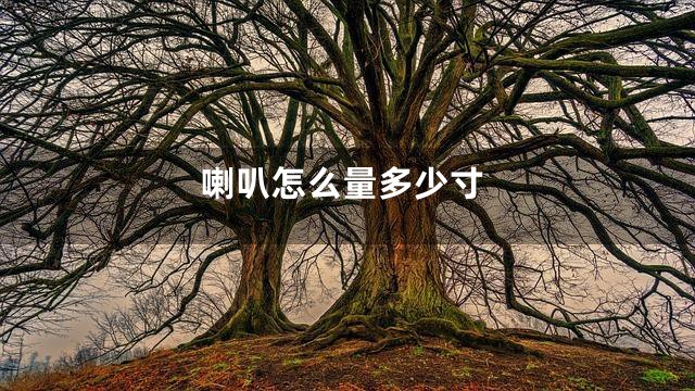 喇叭怎么量多少寸