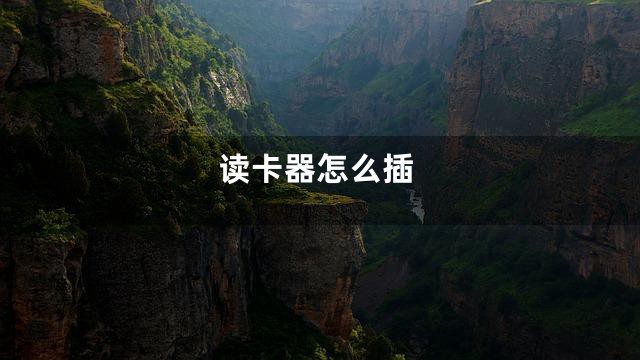 读卡器怎么插