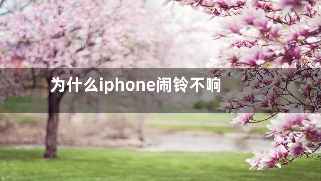 为什么iphone闹铃不响