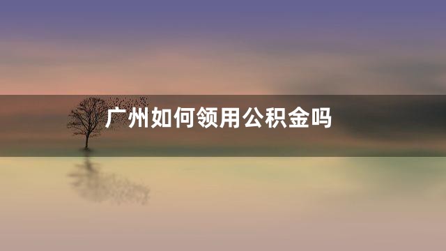 广州如何领用公积金吗