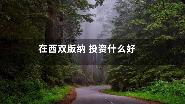 在西双版纳 投资什么好