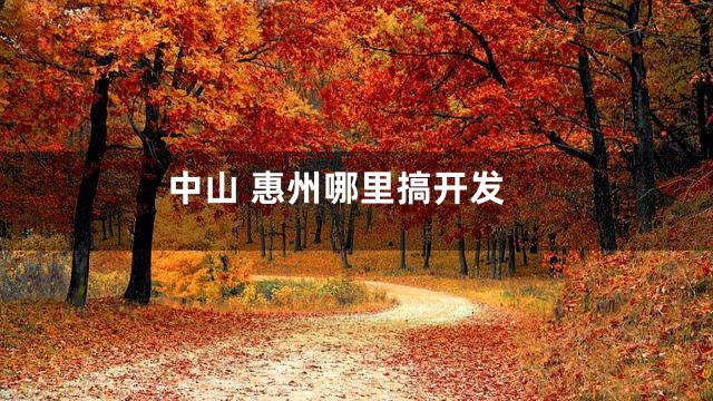 中山 惠州哪里搞开发