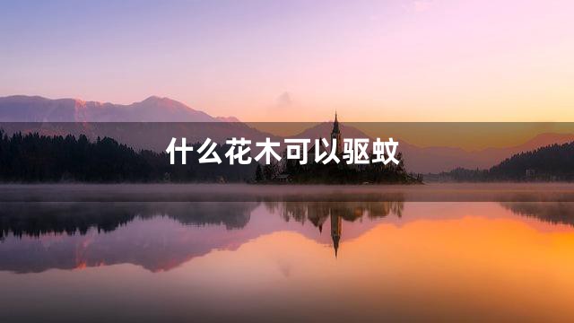 什么花木可以驱蚊