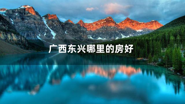 广西东兴哪里的房好