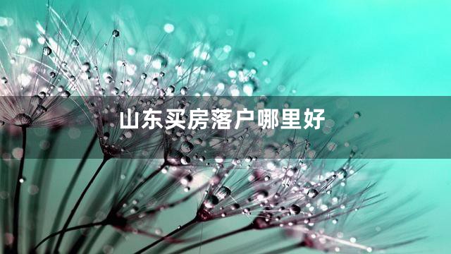山东买房落户哪里好