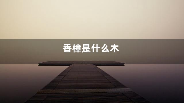 香樟是什么木