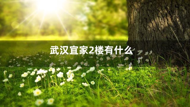 武汉宜家2楼有什么