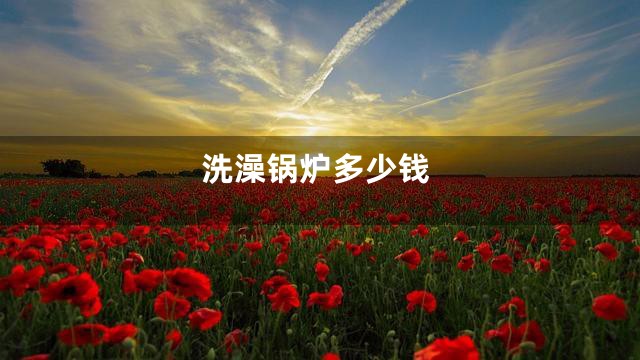 洗澡锅炉多少钱