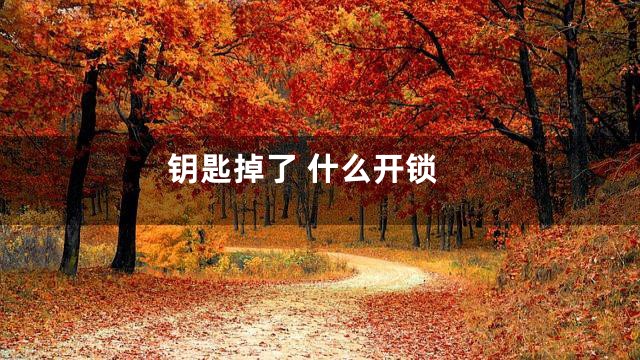 钥匙掉了 什么开锁