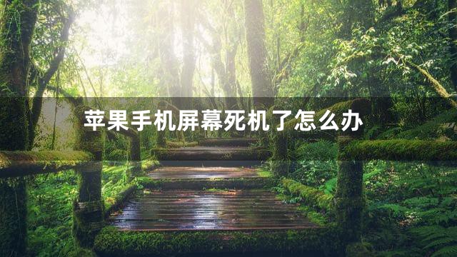 苹果手机屏幕死机了怎么办