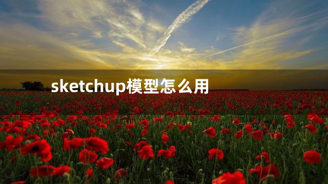 sketchup模型怎么用