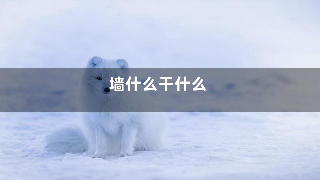 墙什么干什么
