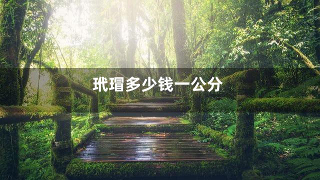 玳瑁多少钱一公分