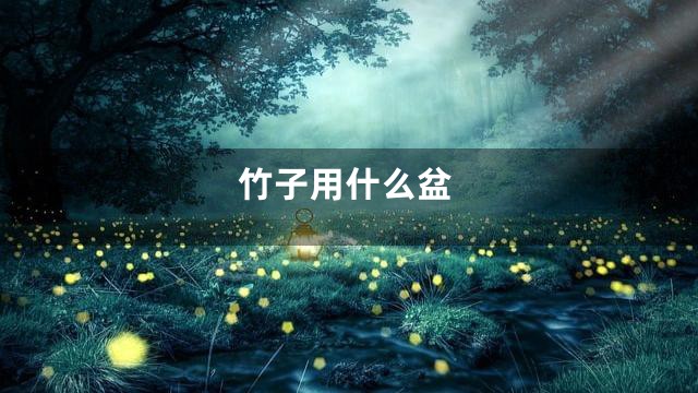竹子用什么盆