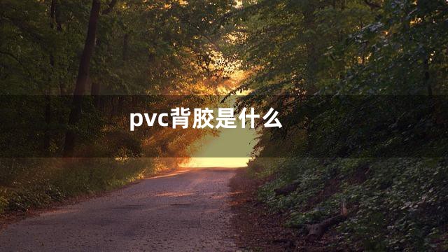 pvc背胶是什么