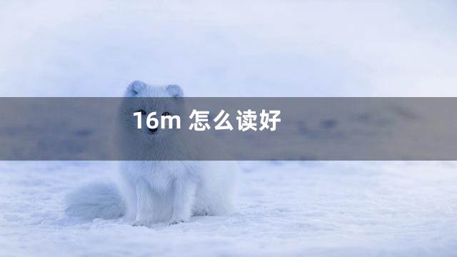 16m 怎么读好