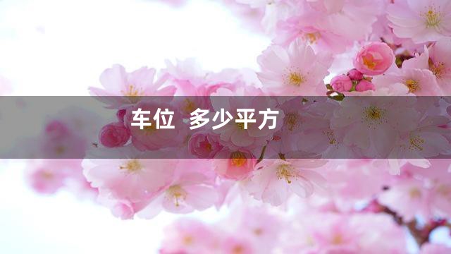 车位  多少平方