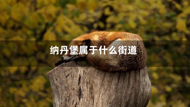 纳丹堡属于什么街道