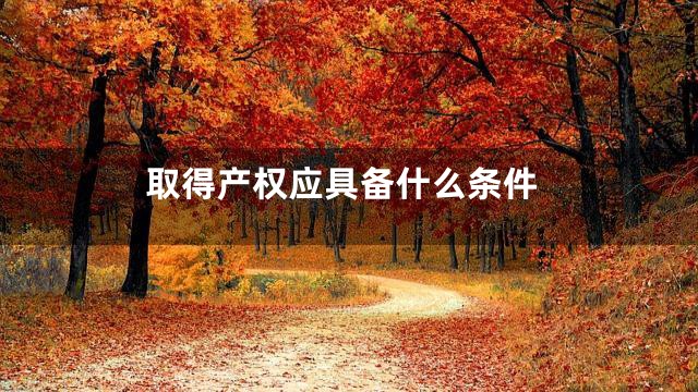 取得产权应具备什么条件
