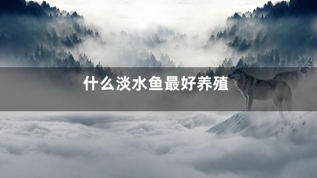 什么淡水鱼最好养殖