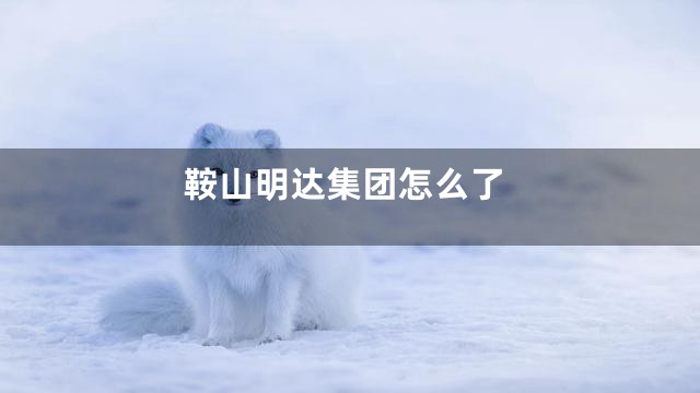 鞍山明达集团怎么了