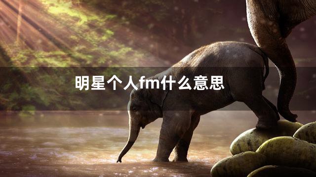 明星个人fm什么意思