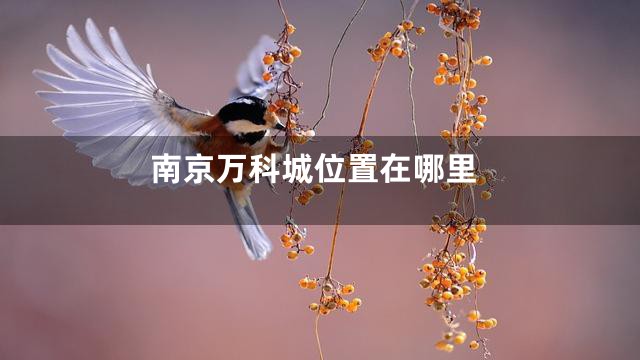 南京万科城位置在哪里