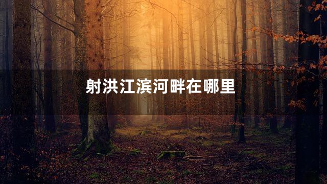 射洪江滨河畔在哪里