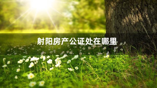 射阳房产公证处在哪里