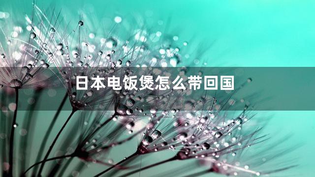 日本电饭煲怎么带回国