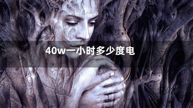 40w一小时多少度电