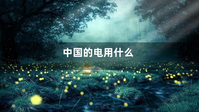 中国的电用什么