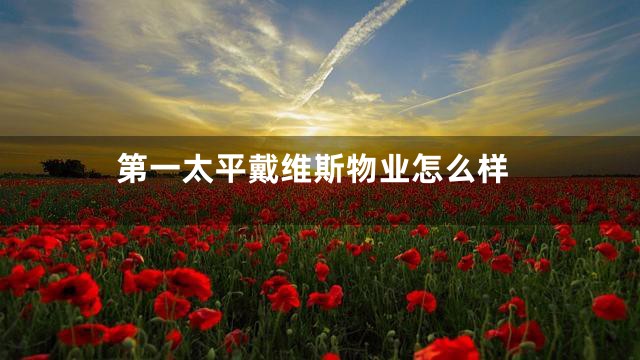 第一太平戴维斯物业怎么样