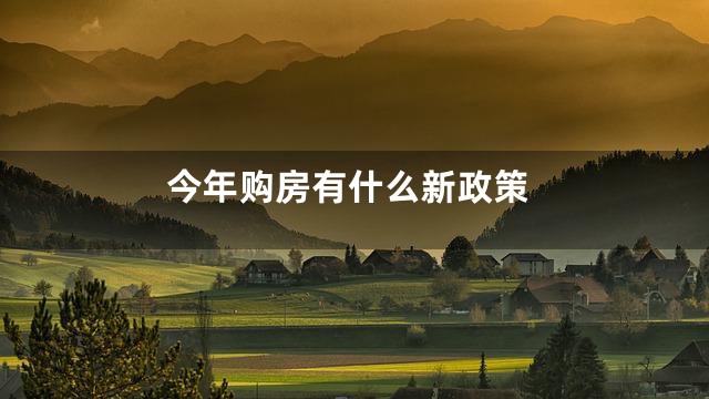 今年购房有什么新政策