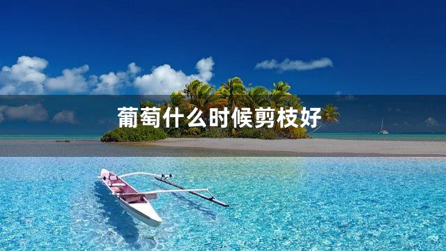 葡萄什么时候剪枝好